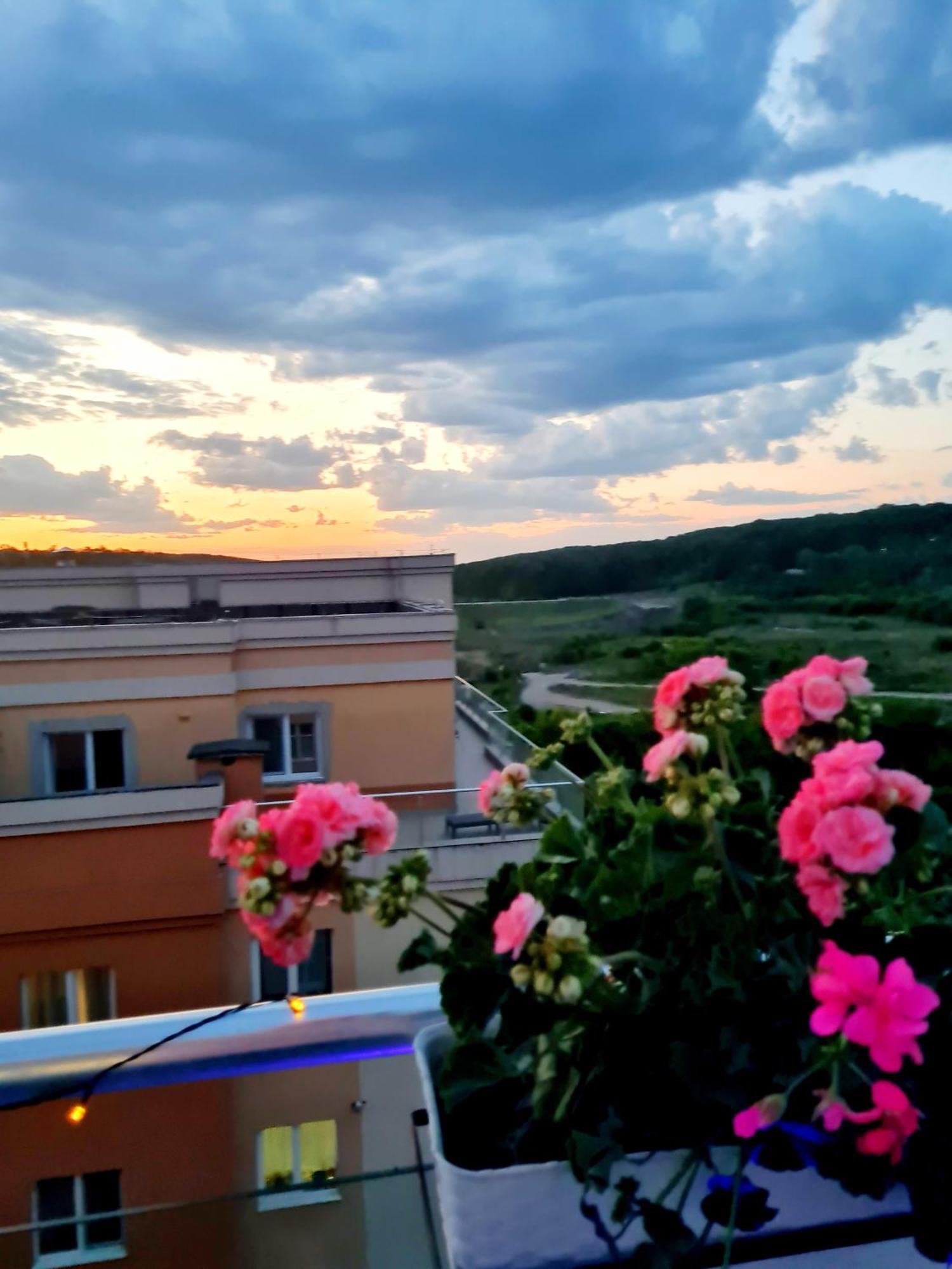 Penthouse View Aeroport Iasi 2 Apartment Bagian luar foto