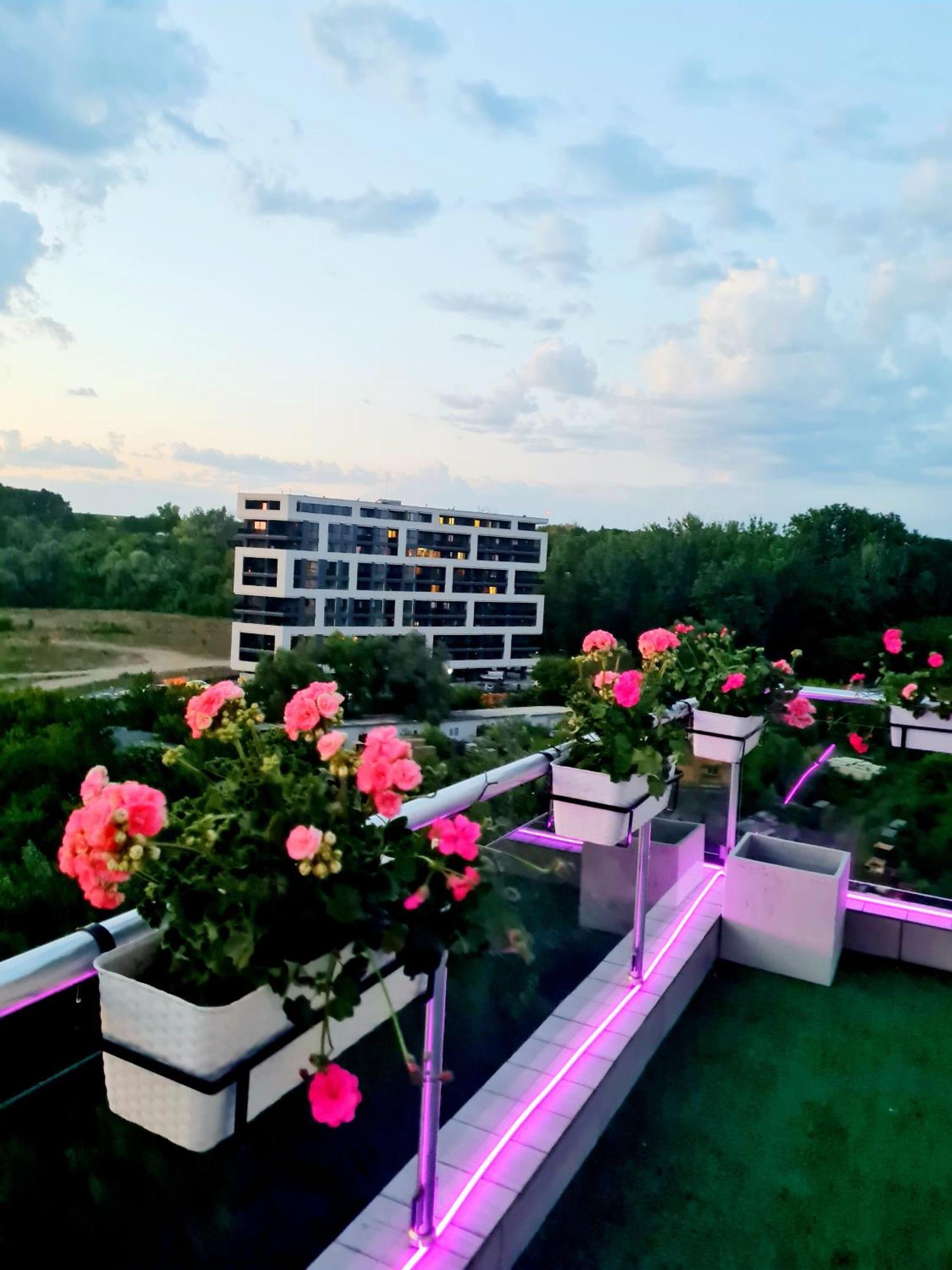 Penthouse View Aeroport Iasi 2 Apartment Bagian luar foto