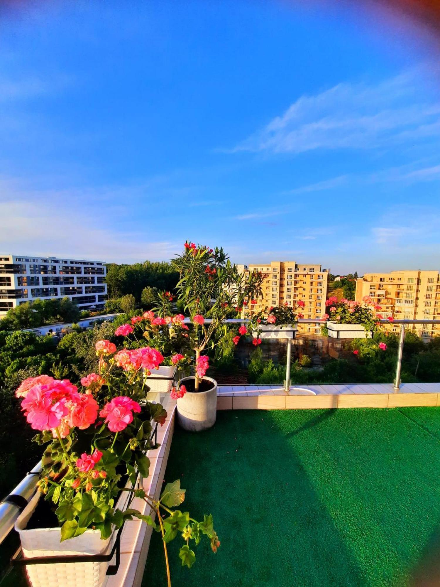 Penthouse View Aeroport Iasi 2 Apartment Bagian luar foto