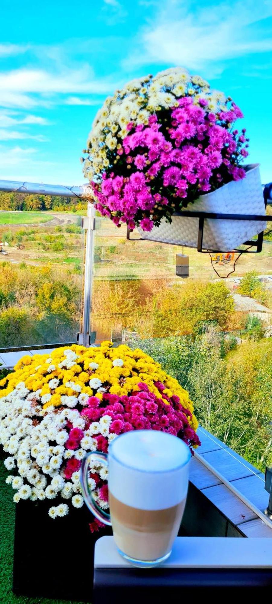 Penthouse View Aeroport Iasi 2 Apartment Bagian luar foto